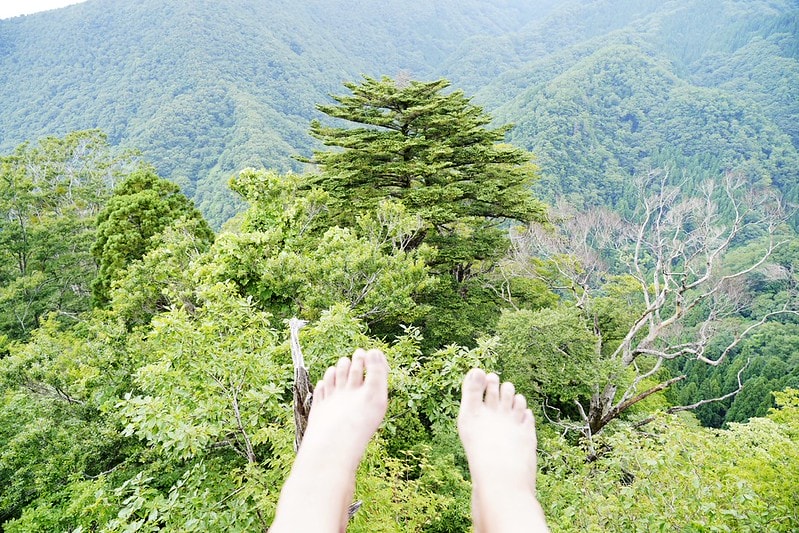 20251102-7h6d1 20251102-7h6d1