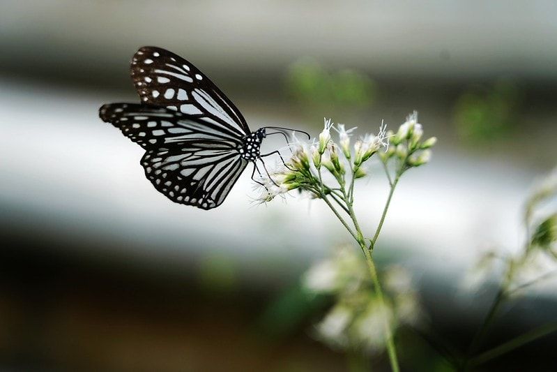 20251102-7nnpz 20251102-7nnpz