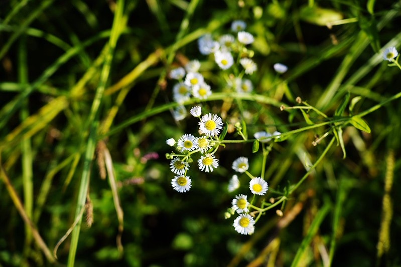 20251102-91jjs 20251102-91jjs