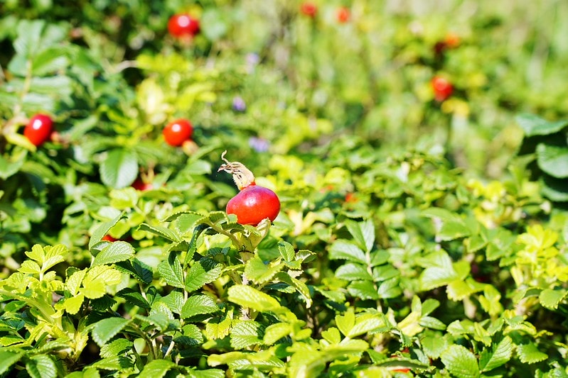 20251102-bs0u6 20251102-bs0u6