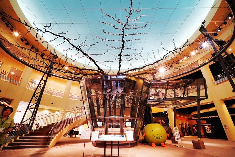 20251102-btndt 20251102-btndt