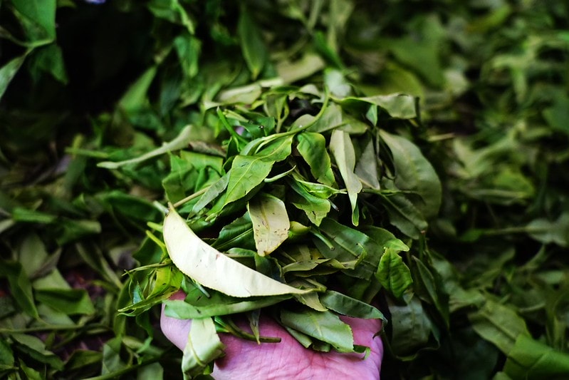 20251102-bx0bl 20251102-bx0bl