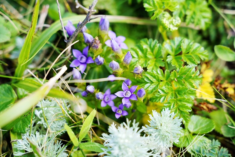 20251102-c1sfm 20251102-c1sfm