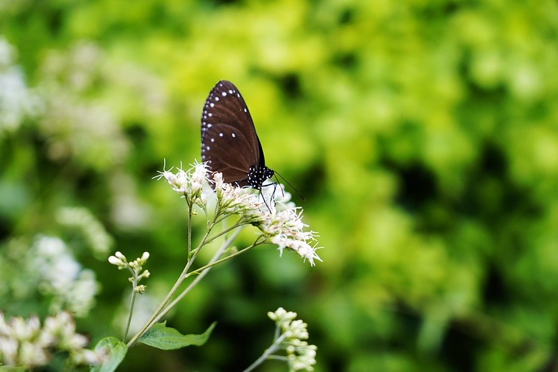 20251102-e9jf6 20251102-e9jf6