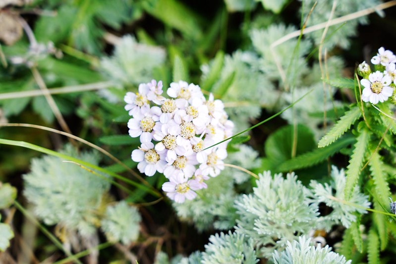 20251102-eckbm 20251102-eckbm