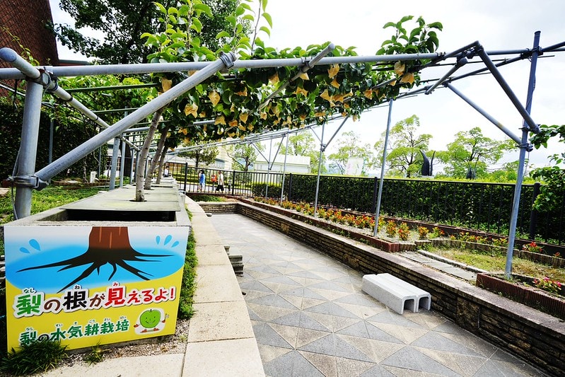 20251102-ejupj 20251102-ejupj