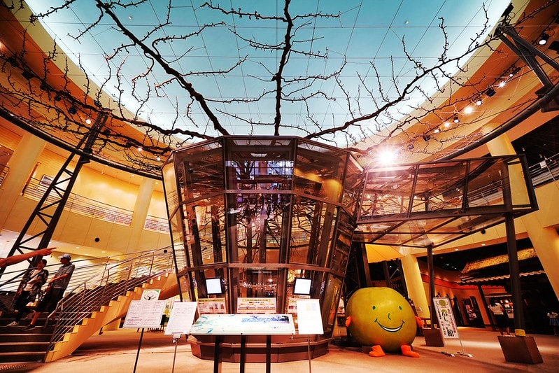 20251102-g08z6 20251102-g08z6