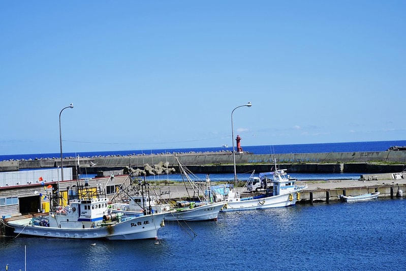 20251102-gj91t 20251102-gj91t