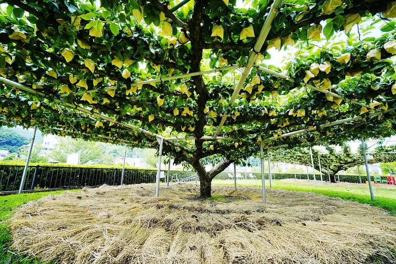 20251102-iu5eh 20251102-iu5eh