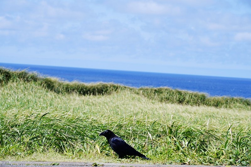 20251102-jabow 20251102-jabow