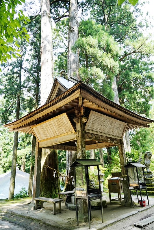 20251102-k7wyt 20251102-k7wyt