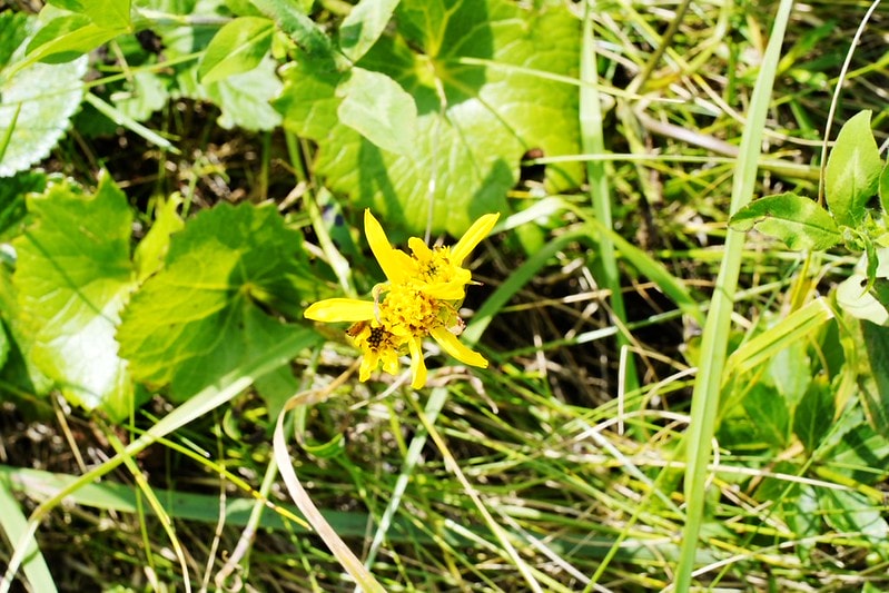 20251102-p3x66 20251102-p3x66