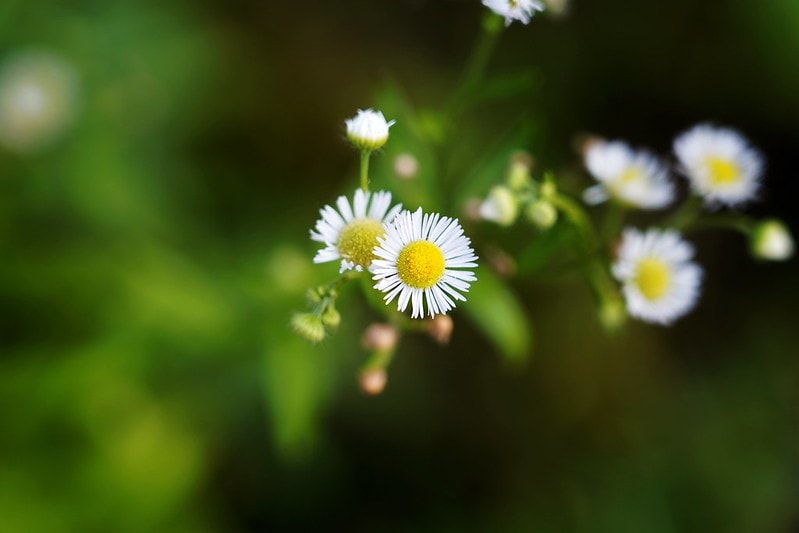 20251102-pu59n 20251102-pu59n