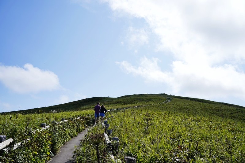 20251102-puddm 20251102-puddm