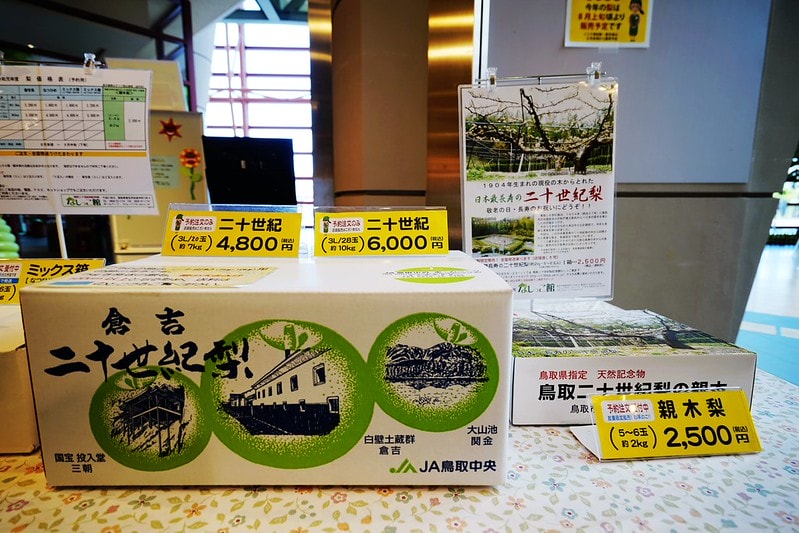 20251102-pzlhr 20251102-pzlhr