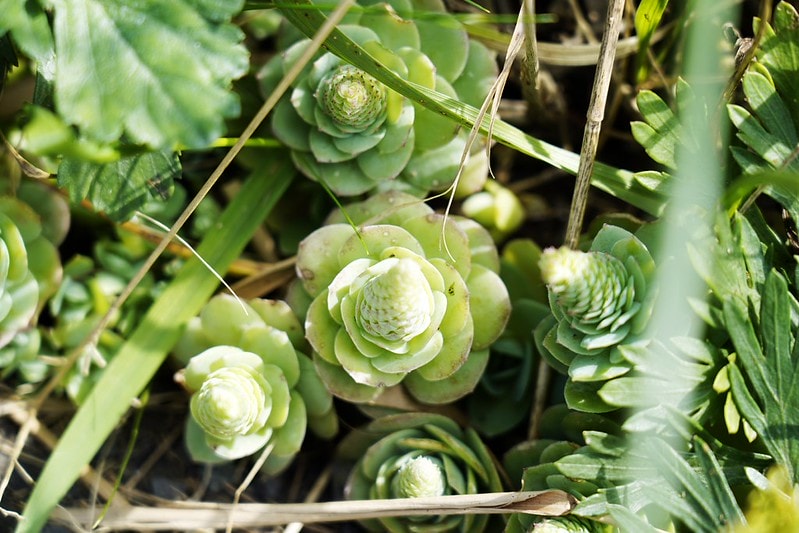 20251102-riu87 20251102-riu87