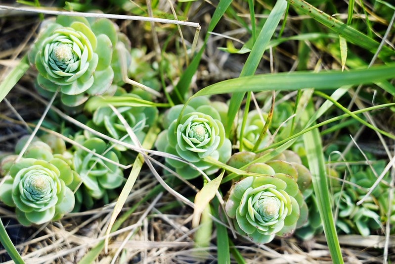 20251102-rkhio 20251102-rkhio