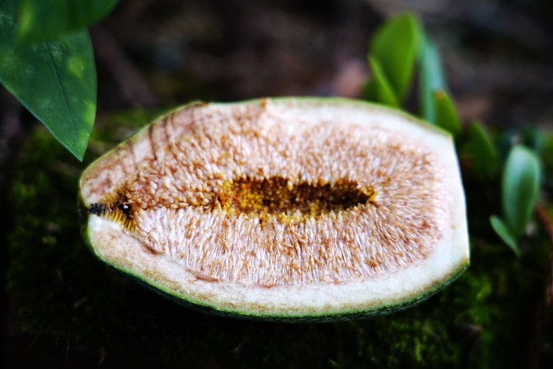 20251102-s2a0r 20251102-s2a0r