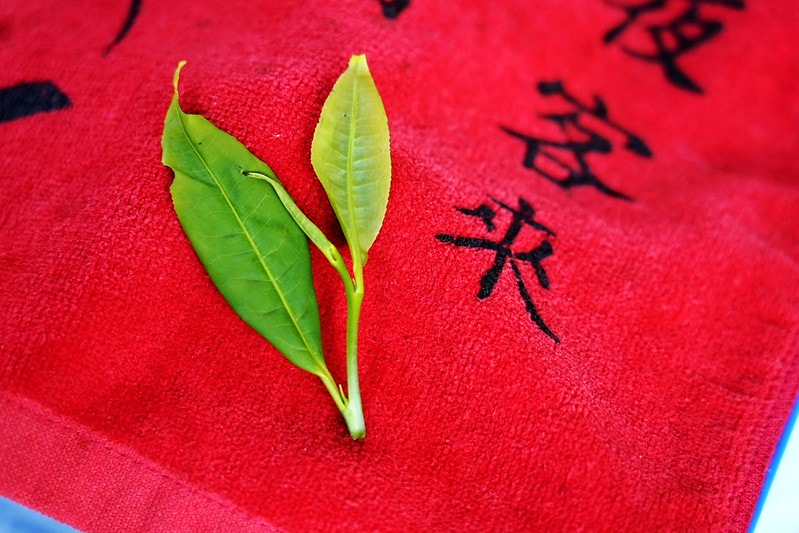 20251102-sduww 20251102-sduww