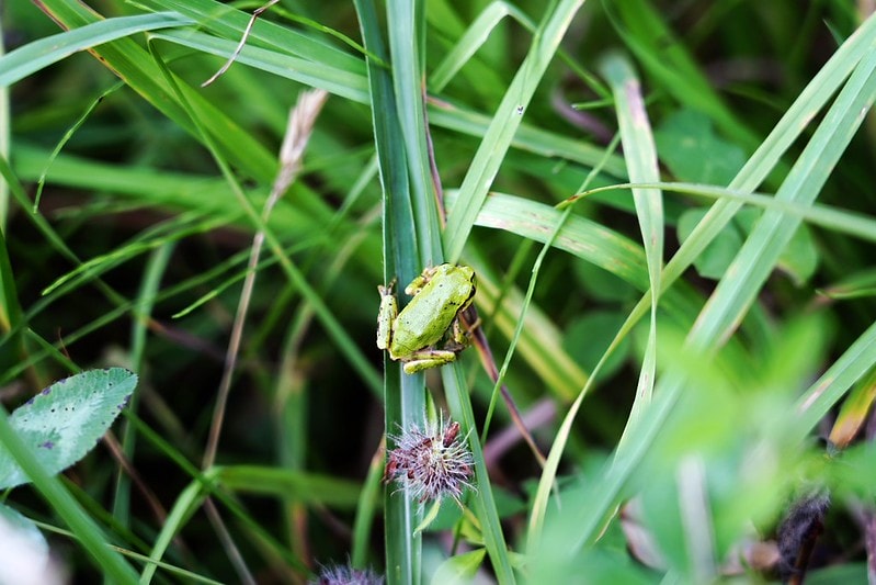 20251102-suih5 20251102-suih5