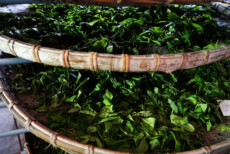 20251102-ubynk 20251102-ubynk