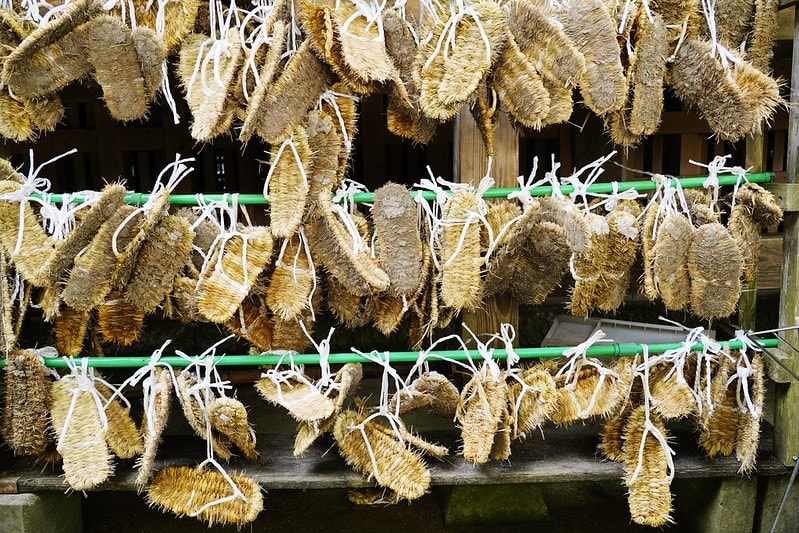 20251102-ugucw 20251102-ugucw