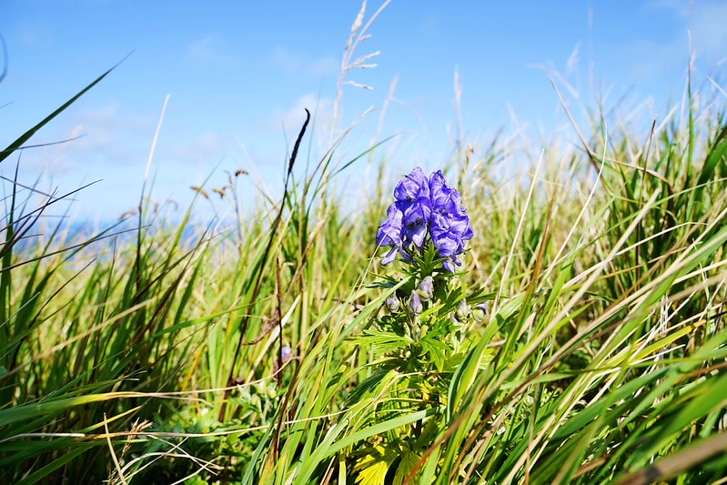 20251102-uhz9s 20251102-uhz9s