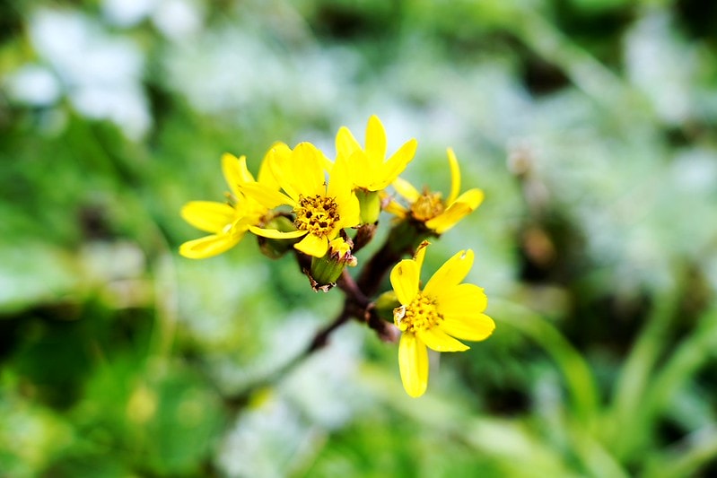 20251102-vk8qe 20251102-vk8qe