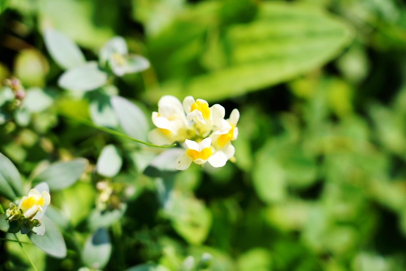 20251102-wroh1 20251102-wroh1