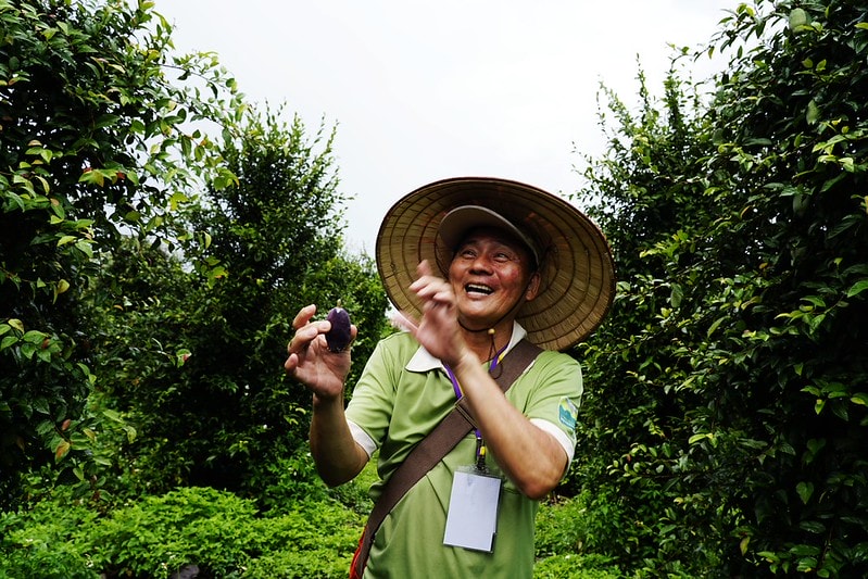 20251102-wzz21 20251102-wzz21