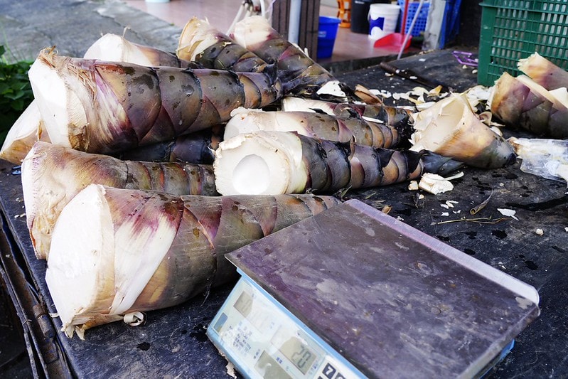 20251102-ym7hk 20251102-ym7hk