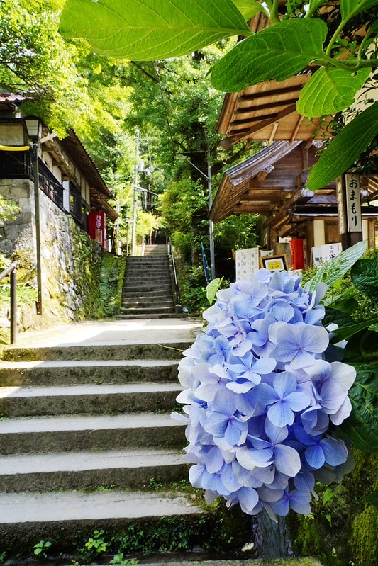 20251102-z9f0x 20251102-z9f0x