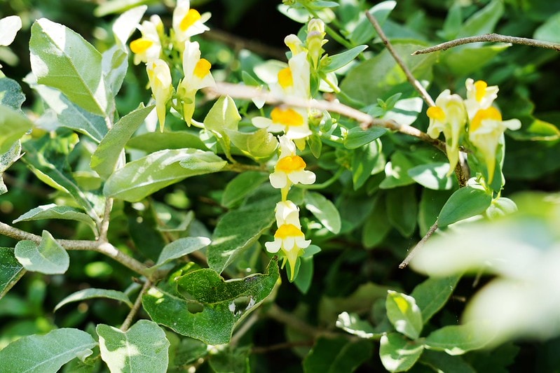 20251102-znr2w 20251102-znr2w