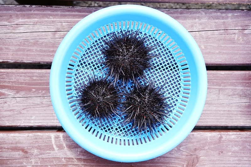 20251102-1k7hf 20251102-1k7hf