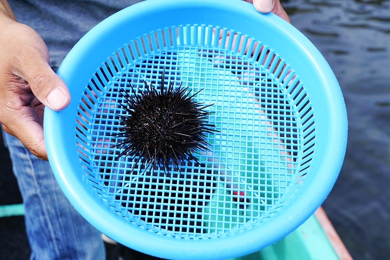 20251102-eklc5 20251102-eklc5