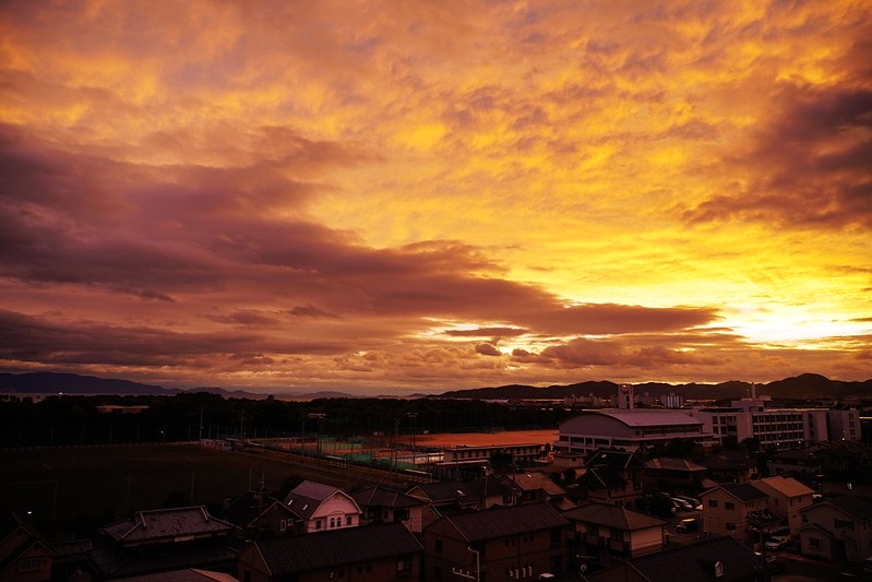 20251102-g4qvh 20251102-g4qvh