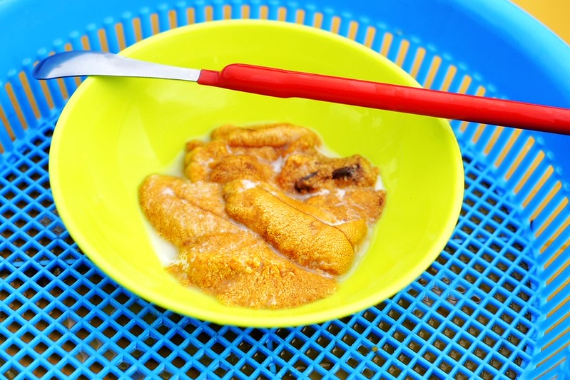 20251102-h360w 20251102-h360w