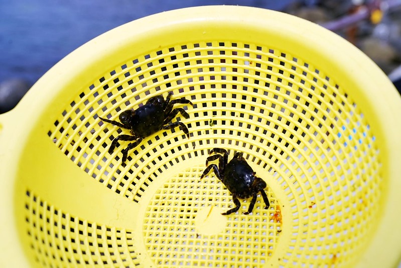 20251102-k12v7 20251102-k12v7