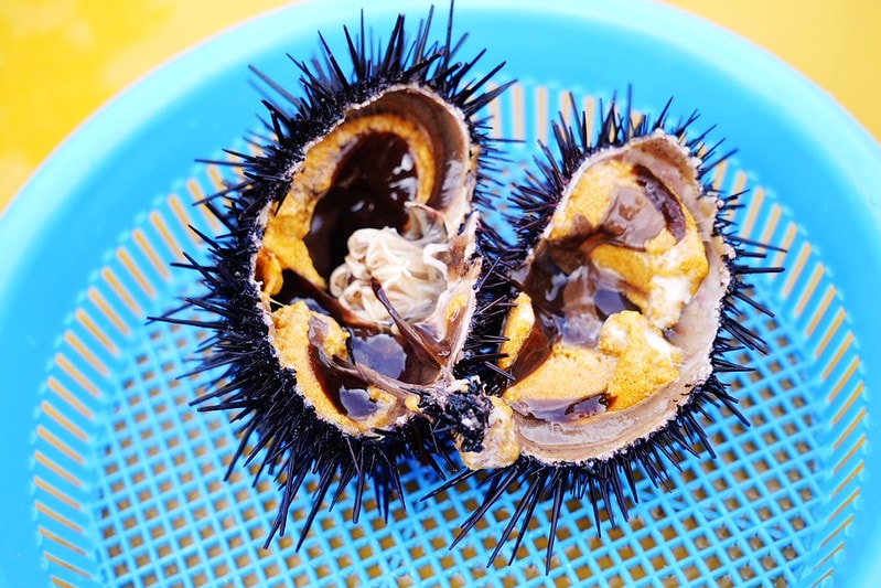 20251102-qghhy 20251102-qghhy