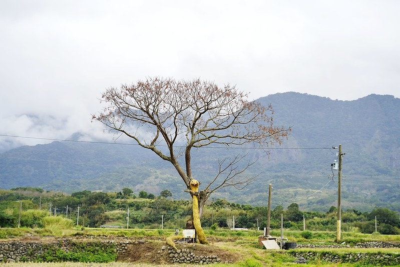 20251102-6x2ft 20251102-6x2ft