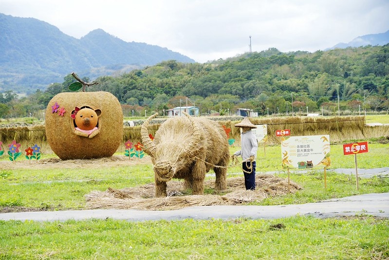 20251102-fc8a4 20251102-fc8a4