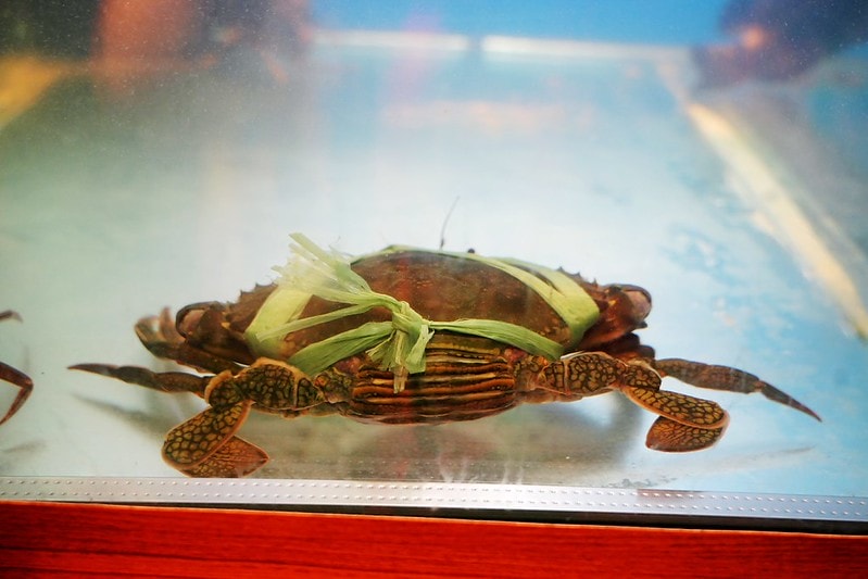 20251102-jihsq 20251102-jihsq