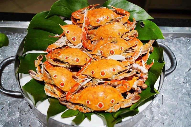 20251102-oxvuz 20251102-oxvuz