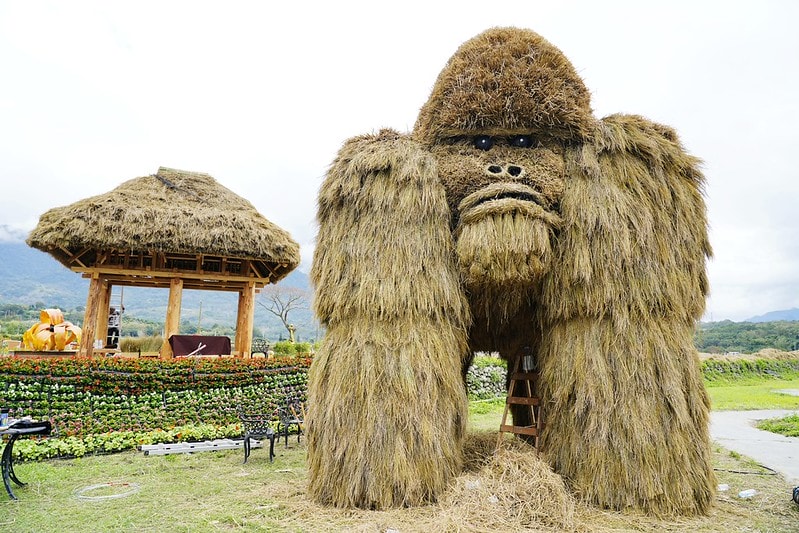 20251102-tulga 20251102-tulga