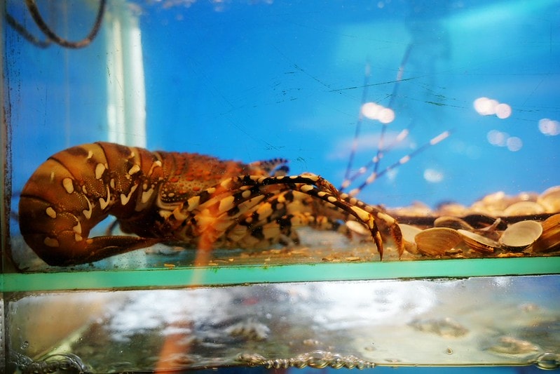 20251102-ulyeh 20251102-ulyeh