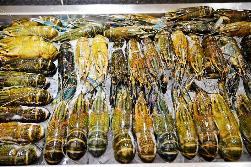 20251102-x04ds 20251102-x04ds