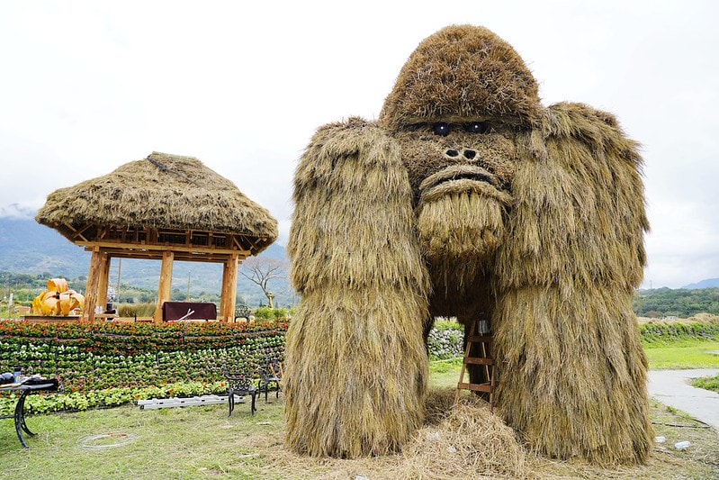 20251102-x079v 20251102-x079v