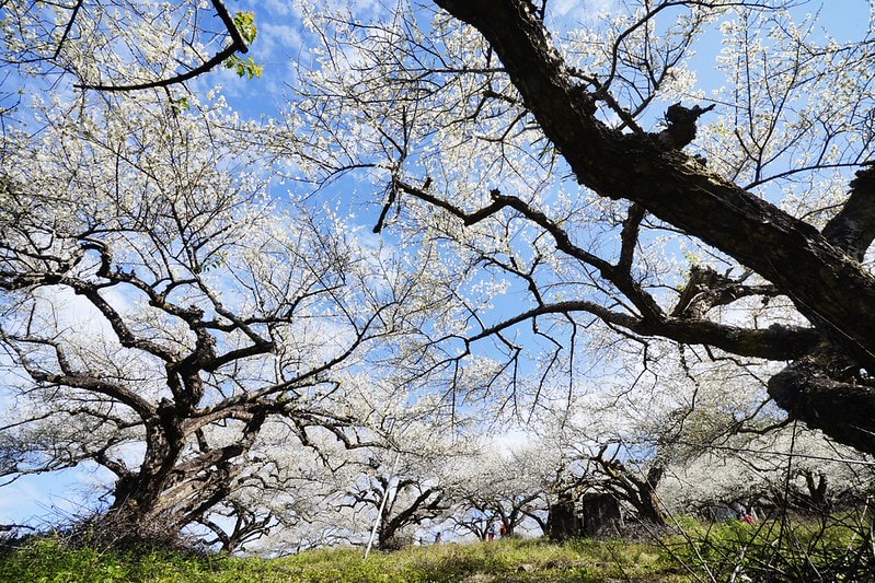 20251102-031tt 20251102-031tt