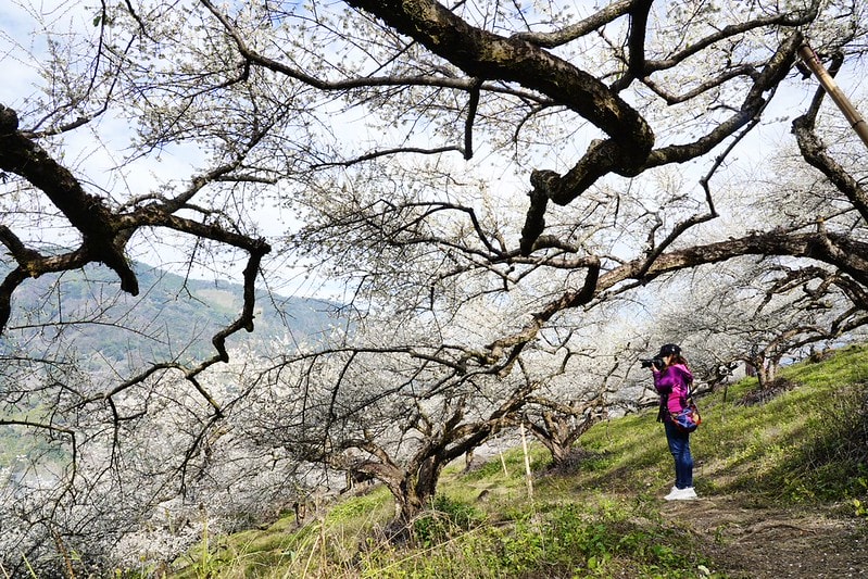 20251102-04lxj 20251102-04lxj