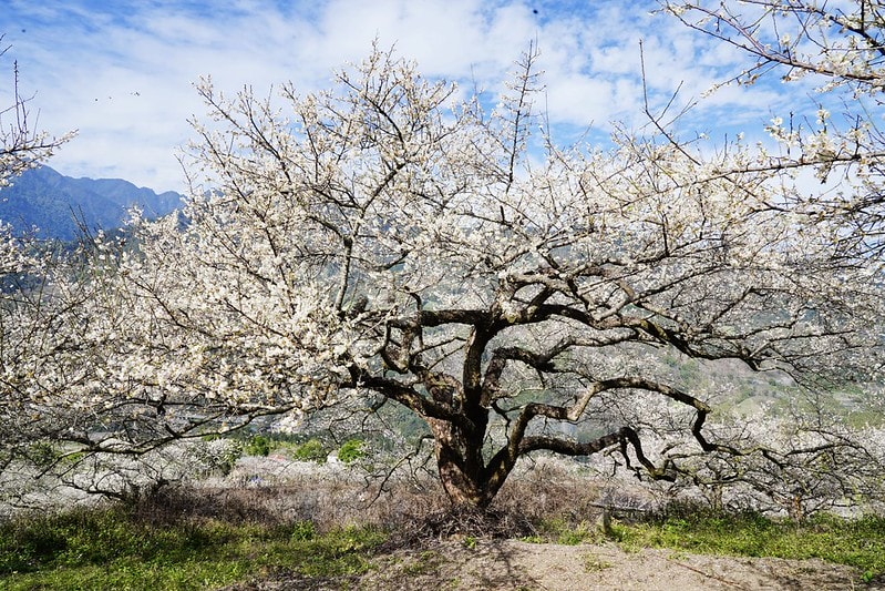 20251102-0d5fs 20251102-0d5fs